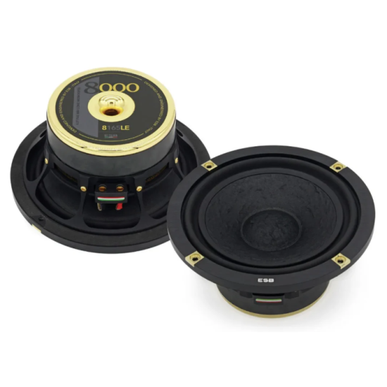 ESB AUDIO 8.165 LE to wysokiej klasy, limitowany mid-woofer o średnicy 6,5" (165 mm), zaprojektowany z myślą o zastosowaniach Hi-End w Car Audio.